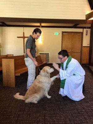 Blessing of the animals 2019