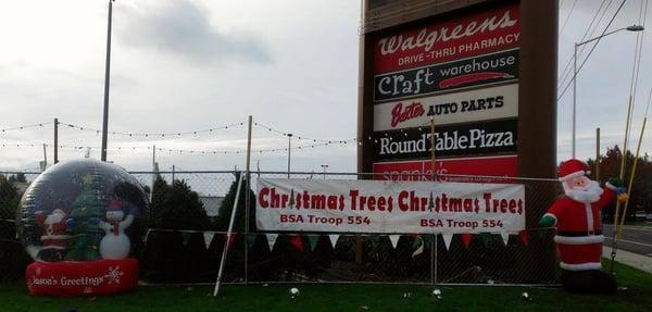 Christmas Trees - Noble, Douglas and Grand Firs.  3ft to 14ft height.