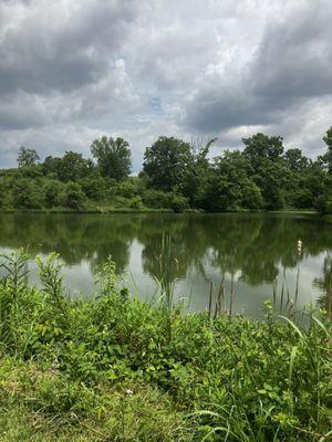 Angler Lake Overlook