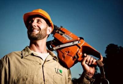 Tree trimmers for both commercial and residential properties