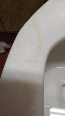 Shit on toilet seat.