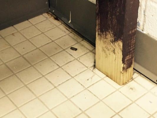 Girl's changing area in bathroom. See the clump of hair -- it was there ALL week!!