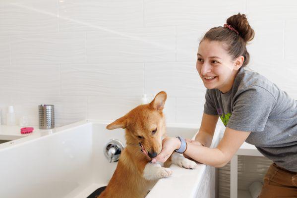 One of our Groomers, Destiny finishing up with a spa day.