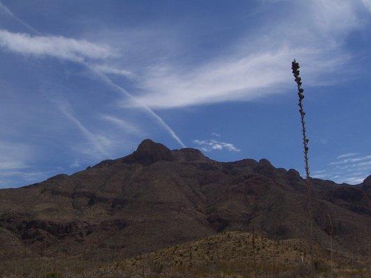 El Paso's beautiful Franklin Mountain, desert landscape and blue sky.
 Photo by Roger Showery