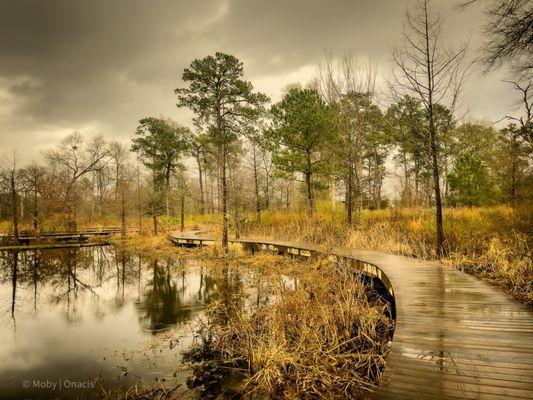 One of the trail - donor board walk.