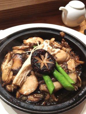 Mushroom toban