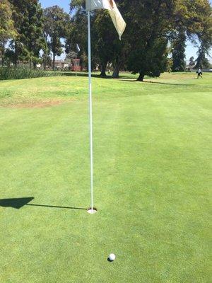 Birdie Putt