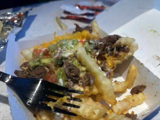 Carne Asada Steak Fries