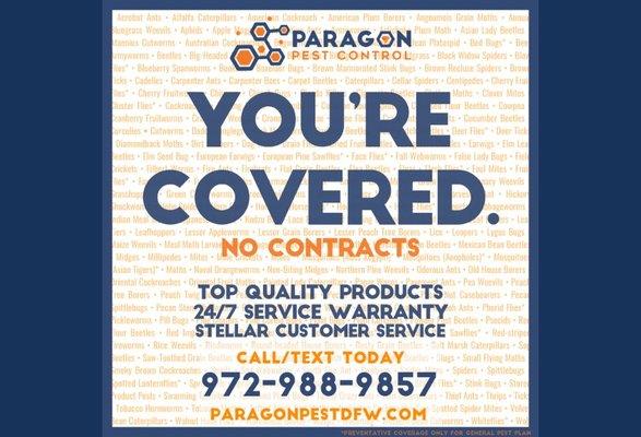 With Paragon, you can rest easy knowing you are covered with the most comprehensive general pest plan in DFW!