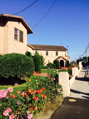 Lovely roses on the church grounds.