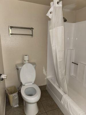 toilet/bathtub