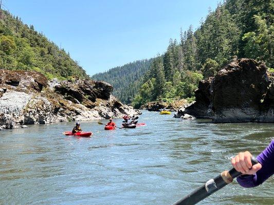 Groups of kayaks, just behind the lead "safety" paddle boat.