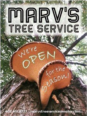 Pruning, tree injections, stump grinding, and tree removal in Omaha! Serving the community for over 60 years!