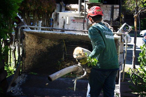 Debris Hauling