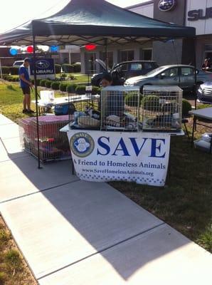 SAVE at Haldeman Subaru's Puppy Love Event! Haldeman Subaru knows how important it is to give back to the community!