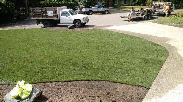 Sod and sprinkler installation