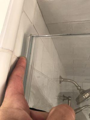 Shower door