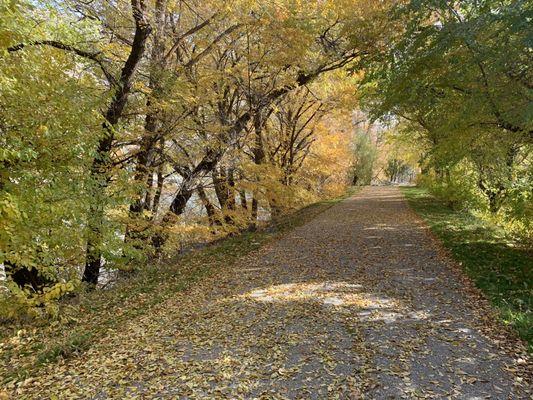 Paved walking trail.