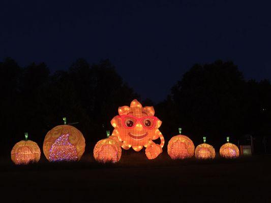 Lantern Light Festival