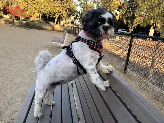 Rocking her summer cut!