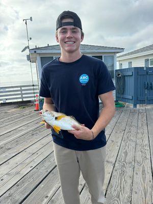 Spotfin croaker are biting really good right now!