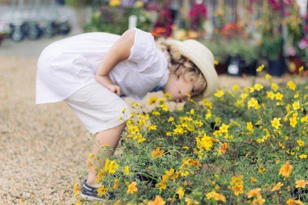 Brode enjoyed the flowers here. We had such a good time looking at all of the beautiful choices and vibrant plants. It was such a great day!