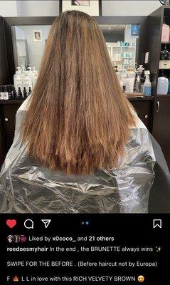 The "before"  ... Butchered chop job from a local salon ( NOT EUROPA )