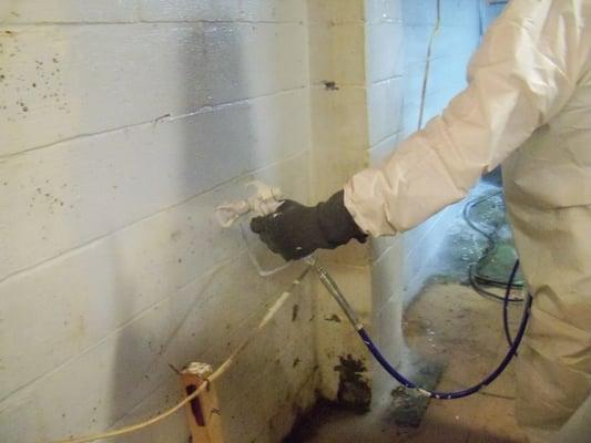 Mold Removal / Remediation