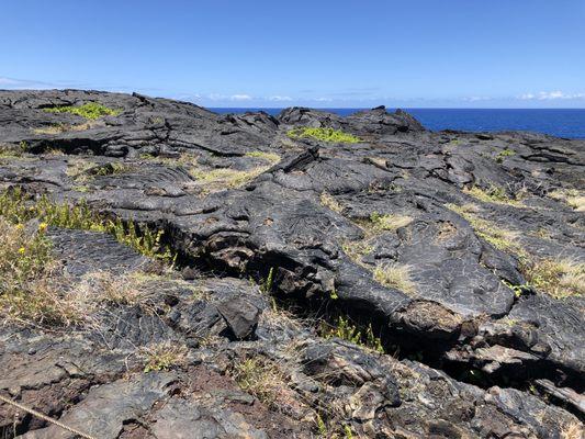 Near the Holei Sea Arch on the Chain of Craters Road in Volcanoes National Park, Hawaii.