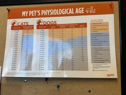 Age chart