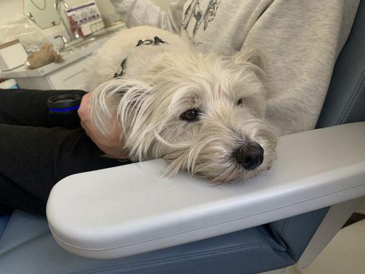 Frankie, our wellness specialist, sitting with one of our TMS (transcranial magnetic stimulation) patients!