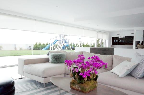 Qmotion motorized screen roller shades programmed to be open at a desired height during any time of day.