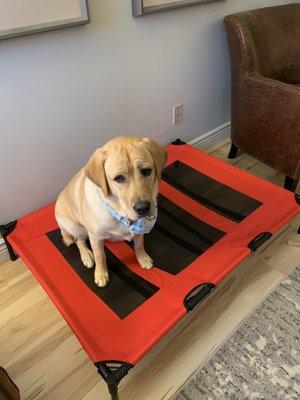 Mikey on his climb bed.