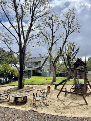 Large yard for running, playing, and exploring. Dogs are a part of our family as well.