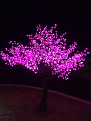 Looking for us at night? Look for our lit tree.