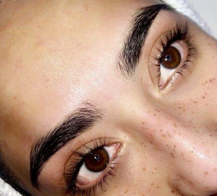 Eye Brow Wax & Lash Lift