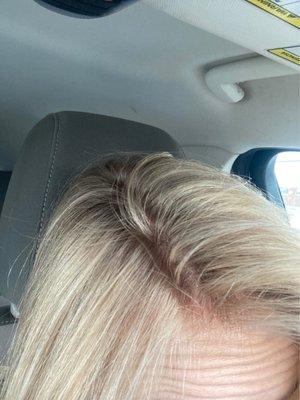 This was my hair before my appointment.