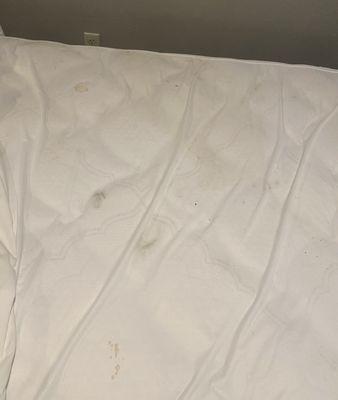 More stains on mattress cover.