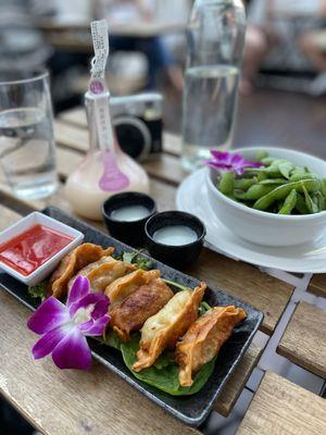 Aladdin unfiltered sake bottle, Gyoza, and Edamame