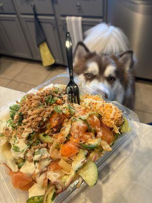 Medium Poke Bowl