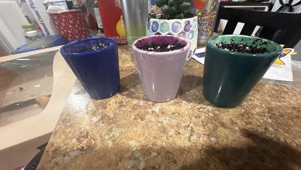 Shot Glasses used as plant vases!