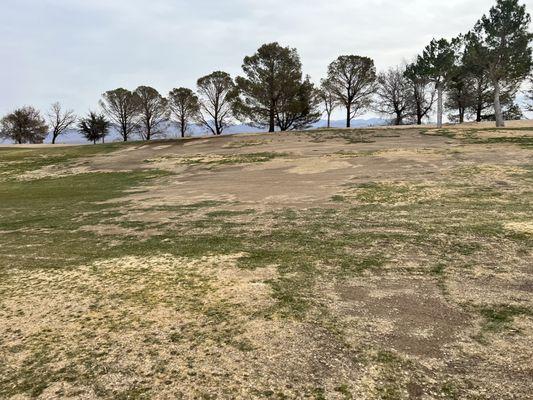 A typical "fairway" on the Primm Valley Lakes course