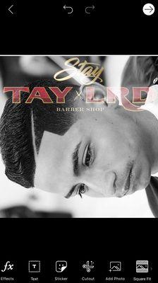 Get Taylrd today