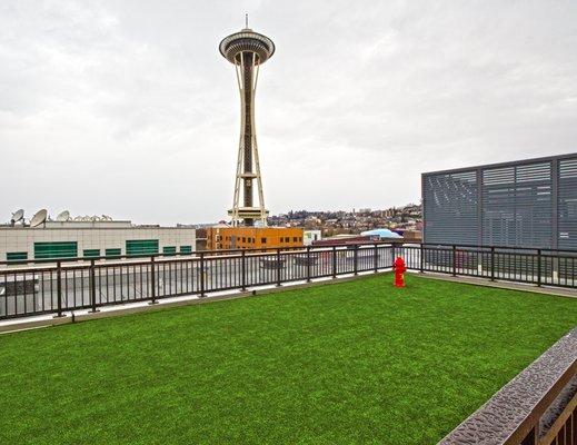 Dog Run at The Century Apartments, Seattle, WA