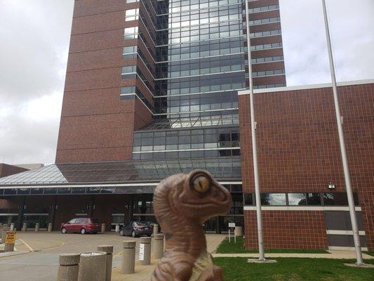 Bob the Raptor says "This is the Walker building!"