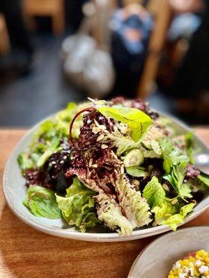 LETTUCES $18: CRISPY GARLIC, SUNFLOWER, PERSIAN CUCUMBER, OREGANO VINAIGRETTE