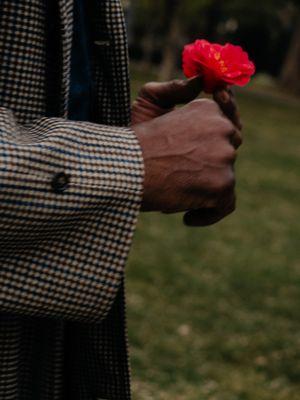 Artistic Portraits - Capital Rose Garden, Sacramento