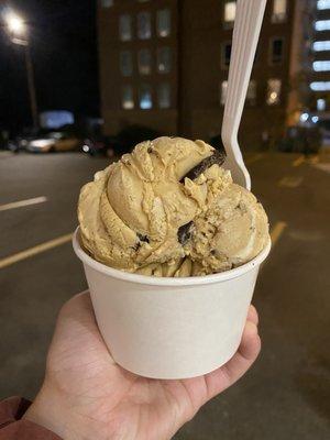 s'mores ice cream