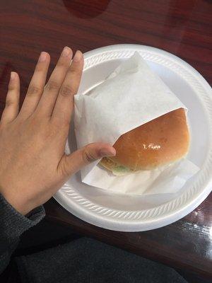 Size of the fish sandwich