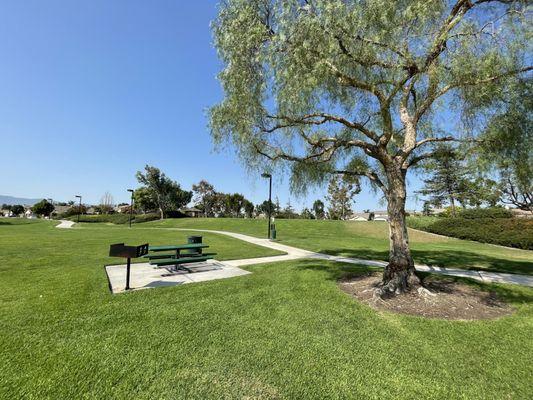 The field by the playgrounds.